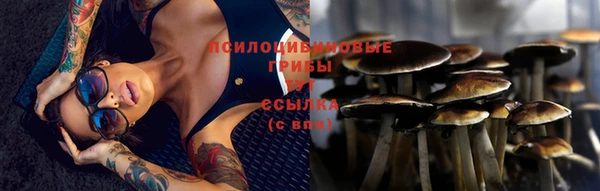 а пвп мука Лихославль
