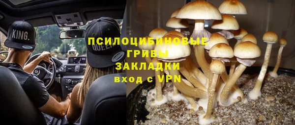 бутират Лиски