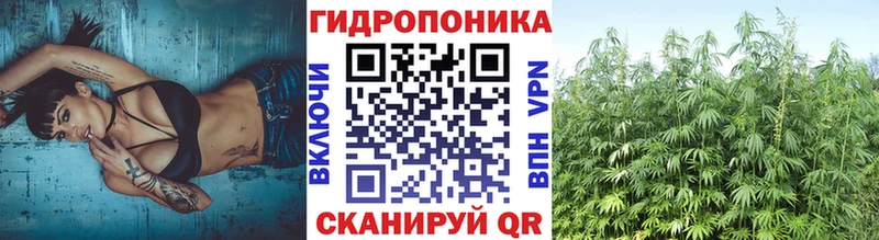 где найти наркотики  Торопец  Марихуана SATIVA & INDICA 